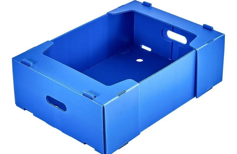 微信图片_20250704111442