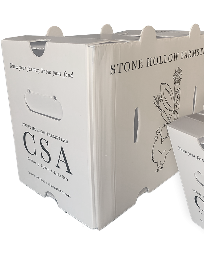 微信图片_20250704111446