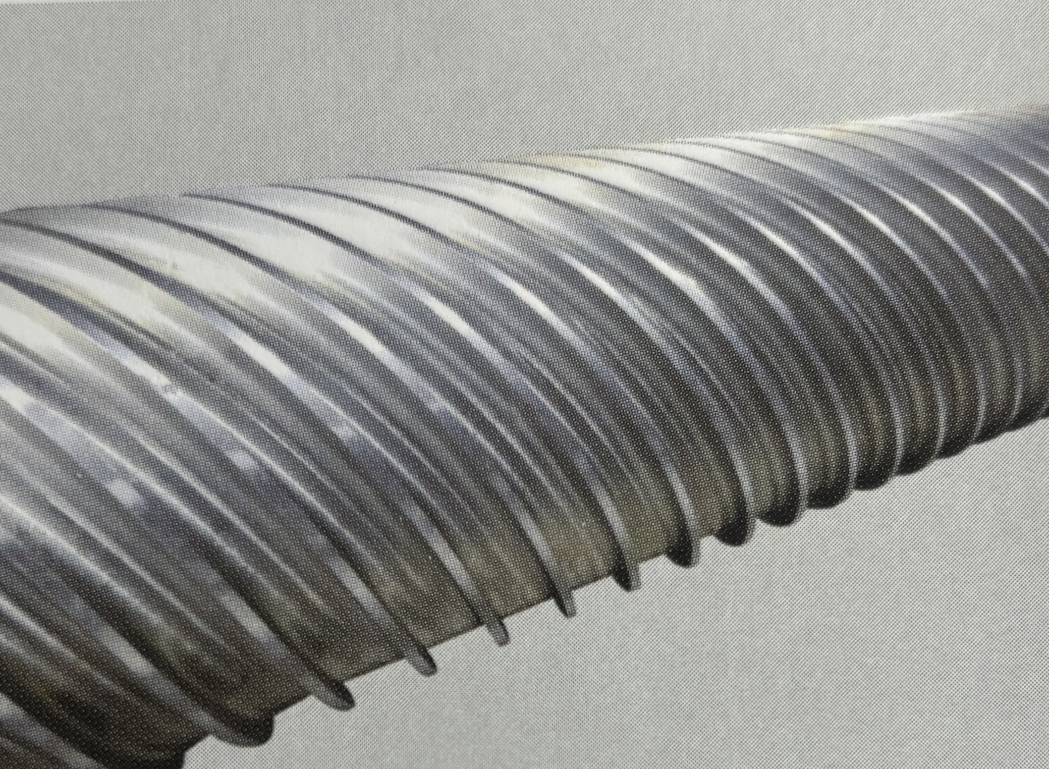 Thin-Wall Efficient Roller